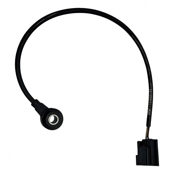 Sensor Detonação Ford Focus Ecosport New Fiesta 2014 2017