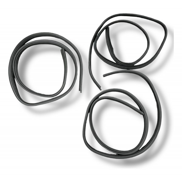 Borracha Guarnição Porta Renault Sandero 2008 2012 Unitário