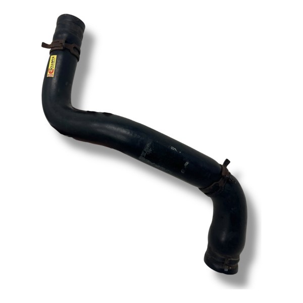 Mangueira Superior Radiador Renault Scenic 1.6 2001 2002 03
